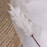 Reed Pampas Grass Stem 70cmH